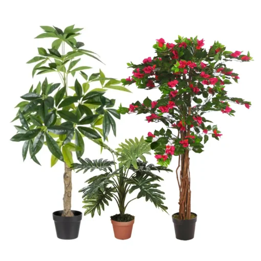 Plantas decorativas